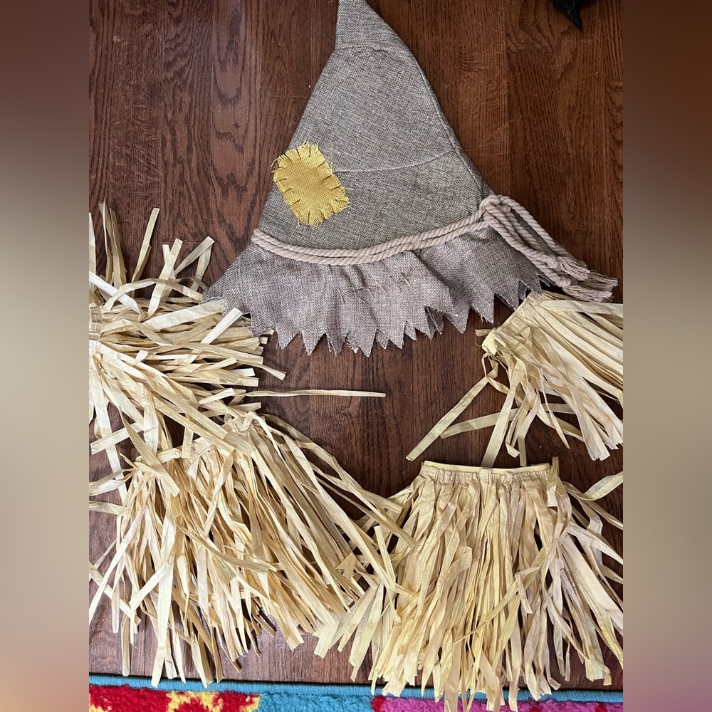 Scare crow costume accessories